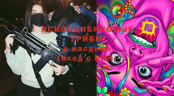 ГАЛЛЮЦИНОГЕННЫЕ ГРИБЫ Абинск
