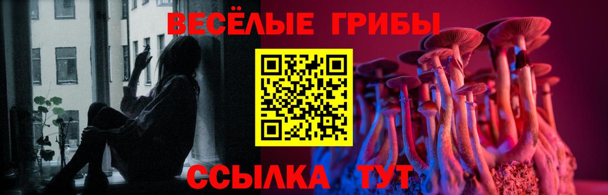 Кандалакша  где можно купить   Вход с VPN  Галлюциногенные грибы GOLDEN TEACHER 