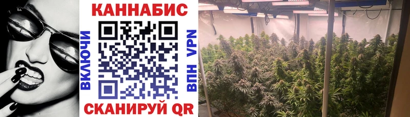 blacksprut зеркало Кандалакша Шишки марихуана индика